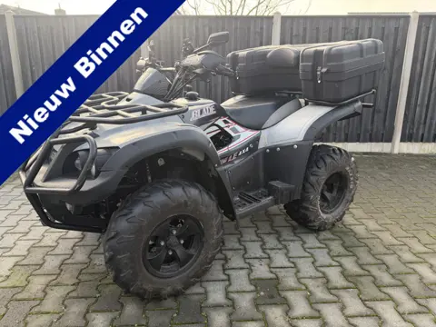 TGB Quad Blade 425 4x4 uit 2008 425ccmet lier en kenteken