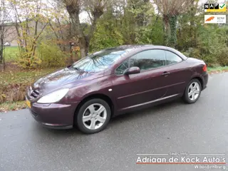 Peugeot 307 CC 2.0-16V Automaat