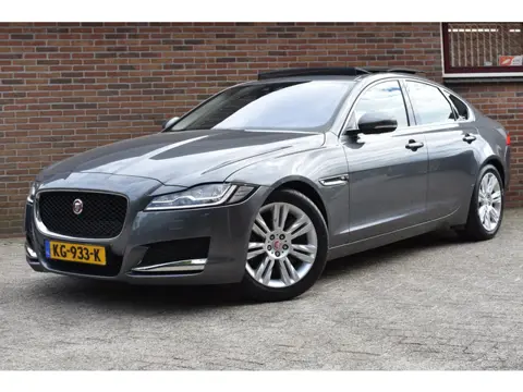 Jaguar XF 3.0d Portfolio '16 Pano Leder Clima Navi Cruise Inruil mogelijk