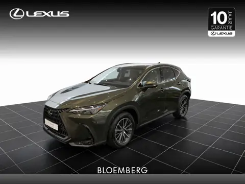 Lexus NX 450h+ AWD Executive Line (bj 2024, automaat)