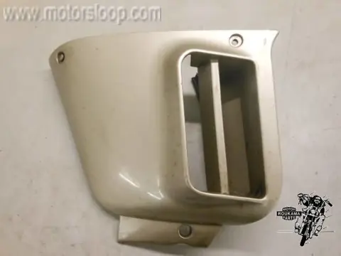 Kawasaki ZG1200(ZG9B) Kuipdeel links