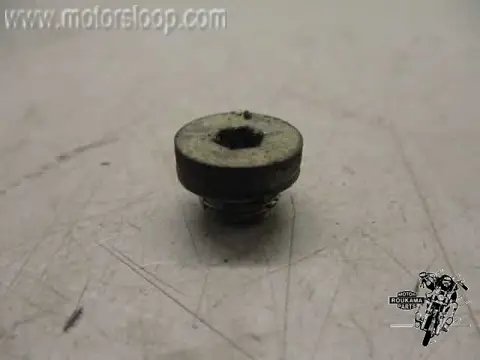 Suzuki RF900R PLUG(10X6.8)