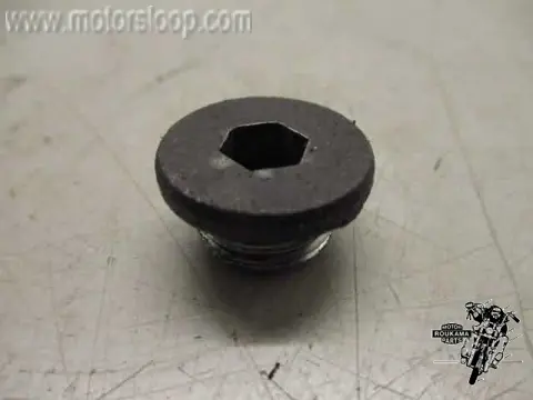 Suzuki RF900R PLUG M