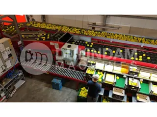 Aweta G4-14+1 paprikasorteermachine met semi-automatische doosvulling