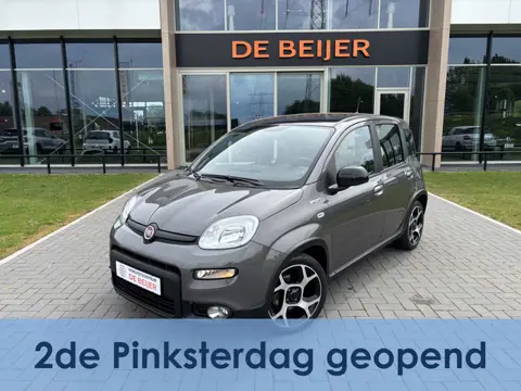 Fiat Panda 1.0 Hybrid Sport Carplay I Airco I 16 inch velgen I