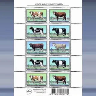 Nederlands Rundvee (2012)