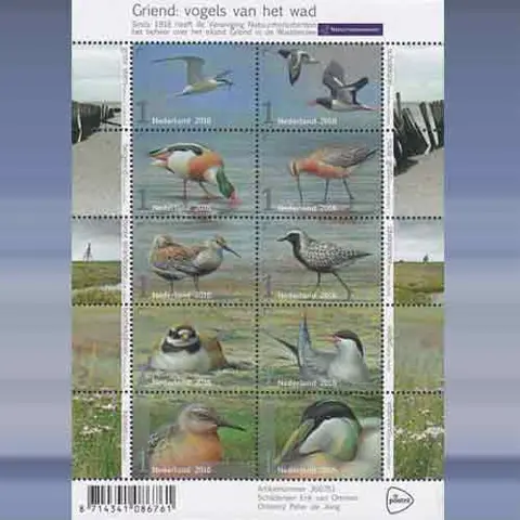 Vogels van het Wad (2016)
