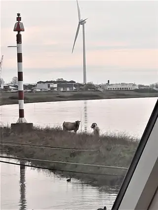 Woning aan de Westervoortsedijk te Arnhem