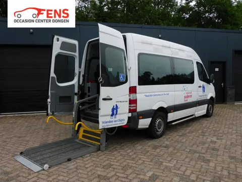 Mercedes-Benz Sprinter 313 2.2 BlueTEC 366 1e EIGENAAR! CRUISE! AIRCO! 4-SEIZOEN BANDEN! ROLSTOELLIF