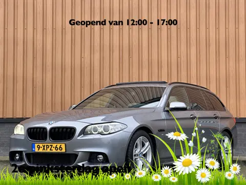 BMW 5 Serie Touring 520i Executive | Panoramadak | Parkeersensoren | Elektrische Stoelen + Geheugenf