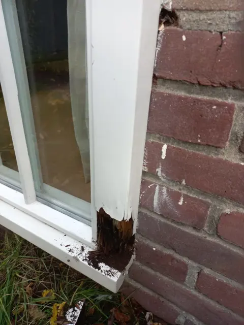 Aangeboden Timmerman reparateur houtwerk.