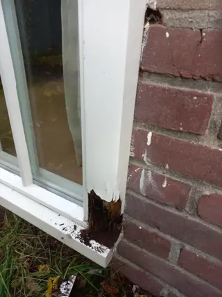 Aangeboden Timmerman reparateur houtwerk.