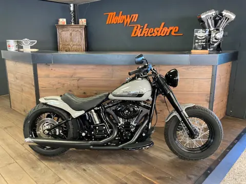 Harley Davidson FLS Softail Custom Special Paint Kreide Porsche Color Rear 200
