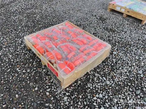 QUANTITY of Cargo Strap (Unused)