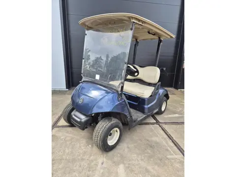 2019 Yamaha  G29 electro