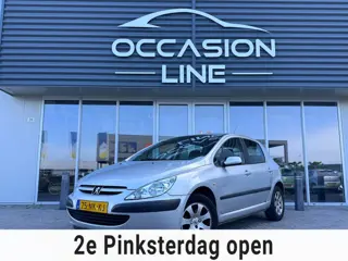 Peugeot 307 1.6-16V XS Pack | Cruise | 5DRS | Elek Ramen