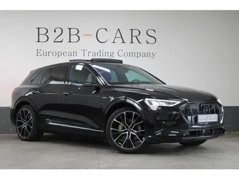 Audi e-tron e-tron 55 quattro 95 kWh - S-line - Panorama - Matrix LED - Leder - Trekhaak
