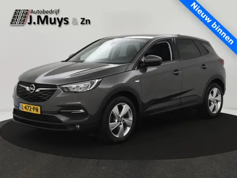 Opel Grandland X 1.2 Turbo 130PK Business Executive AUTOM. TREKH|NAVI|LED|WINTERPACK|CLIMA|CRUISE|18