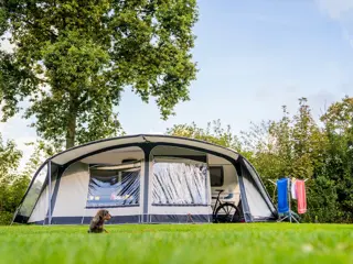 Ontwaken en kamperen op rustige plek midden in het bos