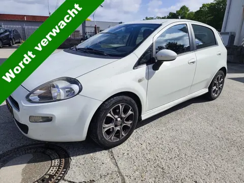 Fiat Punto Evo 0.9 TwinAir Pop - COMING SOON (bj 2013)