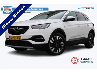 Opel Grandland X 1.2 Turbo Business Executive | Incl. 12 maanden garantie | Apple carplay/Android au