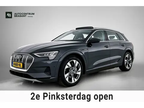 Audi E-tron E-tron 50 quattro Launch edition plus 71 kWh (PANORAMADAK, Soh 97%, MEMORY SEATS, STOELV