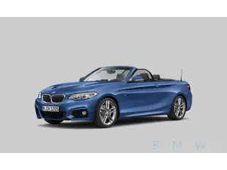 BMW 2-serie Cabrio 220i High Executive | M pakket | Groot navi