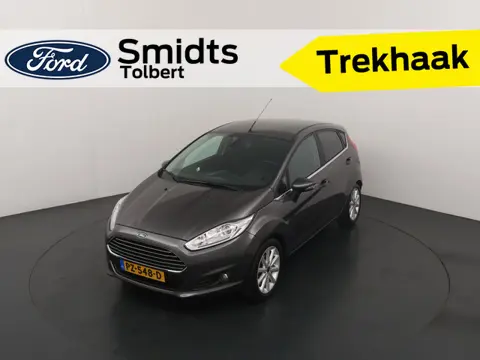 Ford Fiesta 100PK EcoBoost Titanium | Trekhaak | Bluetooth | Park. sens V+A | Clima | Voorruitverwar