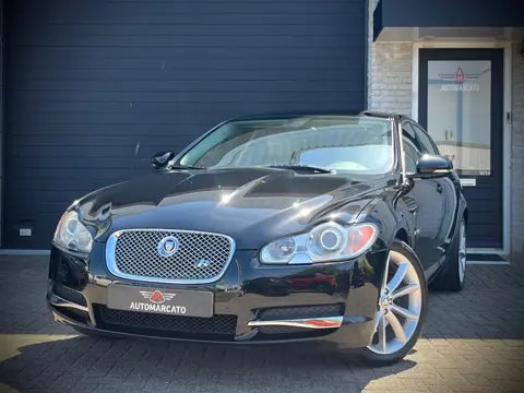 Jaguar XF 3.0 V6 Portfolio | Xenon | Leder | Navi | Clima | Cruise | 19 Inch | PDC | YoungTimer | On