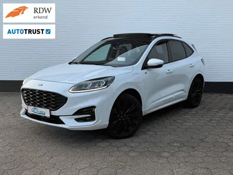 Ford Kuga PHEV ST-Line X l PANO l TREKHAAK l ACC l TOPSTAAT!