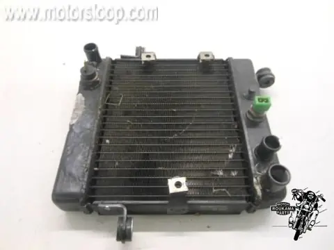 Honda FES250(MF04A) Radiateur 19010-KFG-901