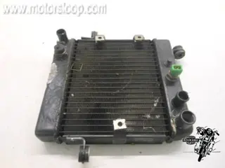Honda FES250(MF04A) Radiateur 19010-KFG-901