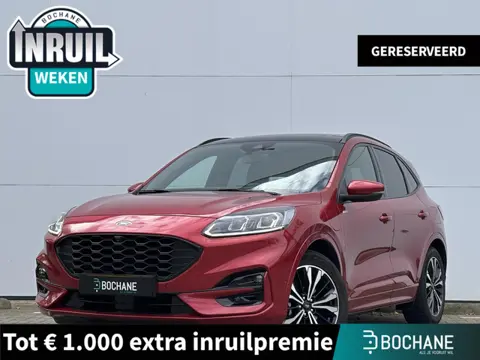 Ford Kuga 2.5 PHEV ST-Line X Adaptieve cruise control | Camera achterzijde | Panoramisch schuifdak| 