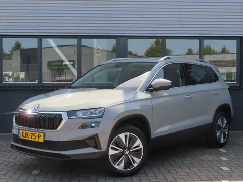 Škoda Karoq 1.5 TSI ACT Business Edition Plus DSG | trekhaak wegklapbaar | camera | groot navi | sto