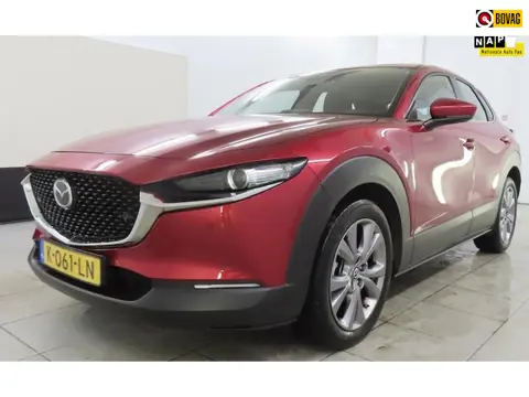 Mazda CX-30 2.0 e-SkyActiv-X M Hybrid Comfort Stuur en Stoelverwarming