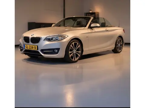 BMW 2-serie Cabrio 218i Executive-nette-dikke auto-trekhaak-volledig dealer onderhouden