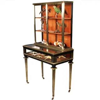 Pianovormige verzamelaars vitrine of display-cabinet in brons met zwart ca 1880