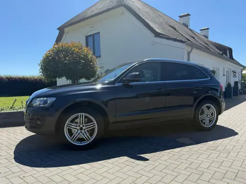 Audi Q5 3.2 FSI quattro Pro Line / Bj: 2010 / Automaat / N.A.P