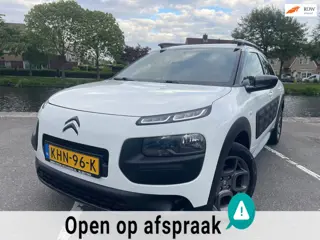 Citroen C4 Cactus 1.2 PureTech Feel HOGE INSTAP CLIMA CRUISE