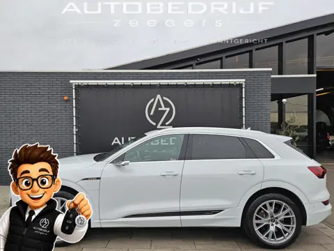 Audi e-tron 55 quattro edition 95 kWh Vol opties !