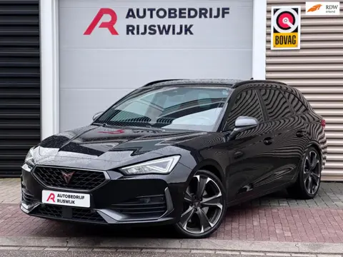 Cupra CUPRA LEON SP Matrix/Camera/Sfeer 300pk!