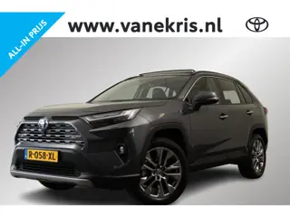 Toyota RAV4 2.5 Hybrid AWD Executive, Panodak