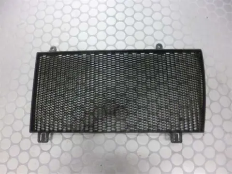 RADIATOR TOEBEHOREN BMW F 800 GS 2008 - 2011