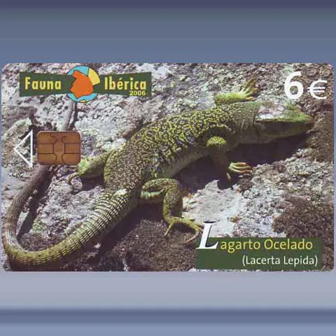 Hagedis (2006)