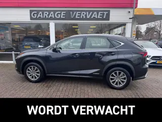 Lexus NX 300h AWD Business Line (bj 2020, automaat)