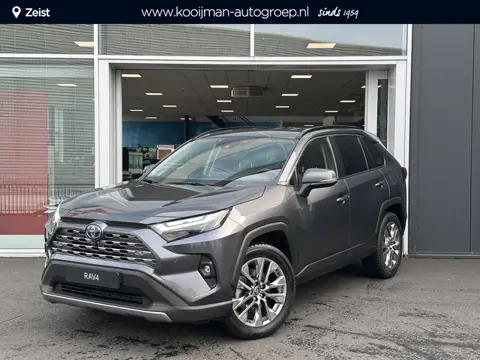 Toyota RAV4 2.5 Hybrid AWD Executive Blind Spot | 19 inch LM velgen | 360 graden camera | Lederen be