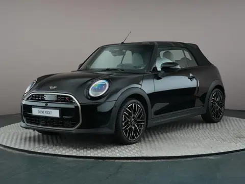 MINI Cabrio 2.0 Cooper S Favoured 204 pk Pakket XL | Comfort Access | Elektrisch verstelbare stoelen