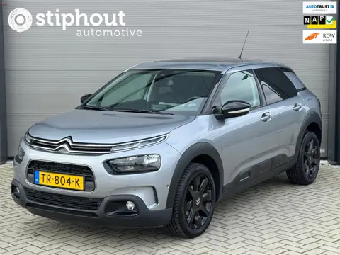 Citroen C4 Cactus 1.2 PureTech Shine | PANORAMA | DEALER O.H. | DAB+ | CARPLAY
