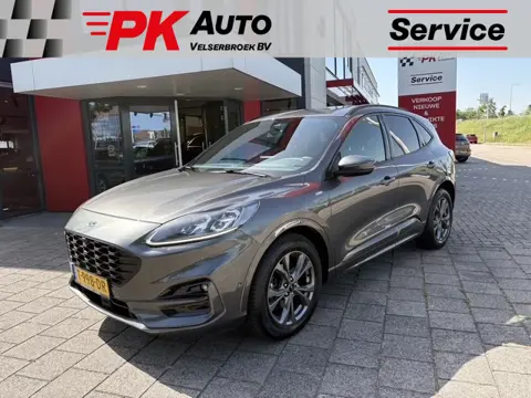 Ford Kuga 2.5 PHEV ST-Line | Navi | Cruise | Camera | 69.969 km Dealeronderhouden
