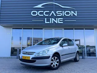Peugeot 307 1.6-16V XS Pack | Cruise | 5DRS | Elek Ramen